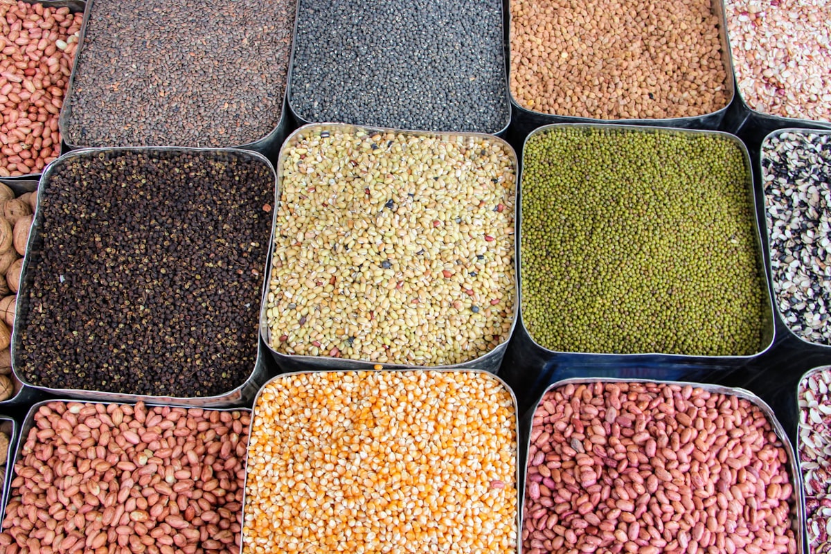 Alimentazione equilibrata con proteine, verdure e carboidrati