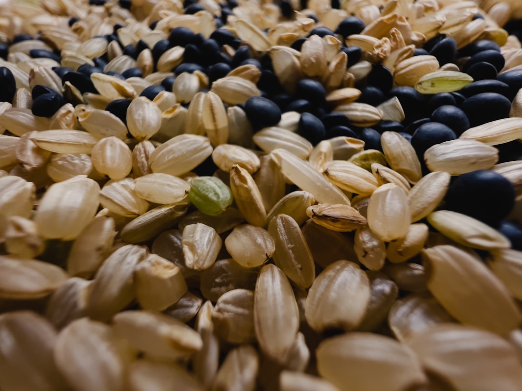 Piatto nutrizionalmente bilanciato
